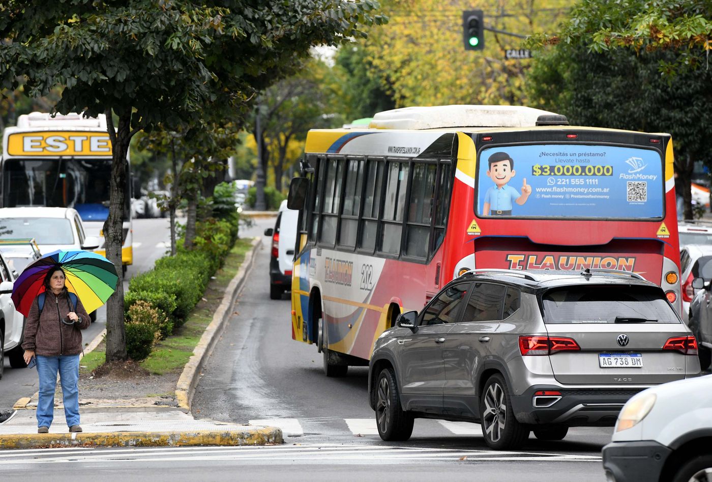 Micros colectivos (5)