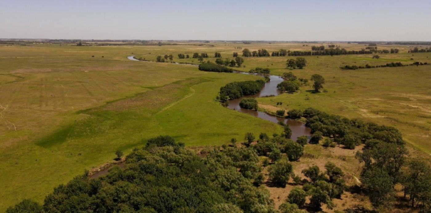 Humedal Arroyo El Pescado