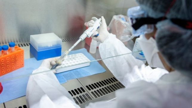 el gobierno presentara los resultados del estudio de combinacion de vacunas