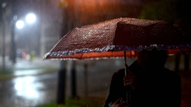 alerta amarilla en la plata por la llegada de santa rosa