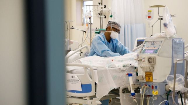 coronavirus en argentina: mas de 24 mil casos y 383 nuevas muertes