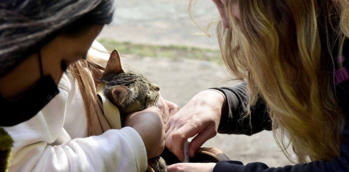 1661813325172.jpg?x=13&y=137&width=1480&height=740&rotate=0&scaleX=1&scaleY=1&ow=1500&oh=1001&&cw=1920&ch=950