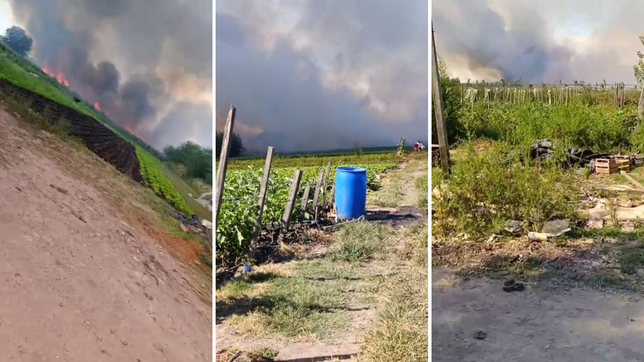 fuego, humo y alerta en la region: todos los videos de los incendios forestales en arturo segui