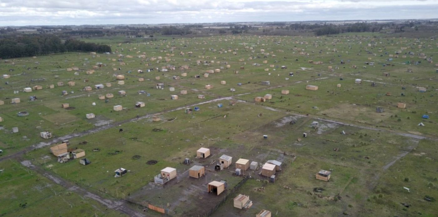 1604059420765.jpg?x=0&y=81&width=1494&height=746&rotate=0&scaleX=1&scaleY=1&ow=1500&oh=936&&cw=1920&ch=950