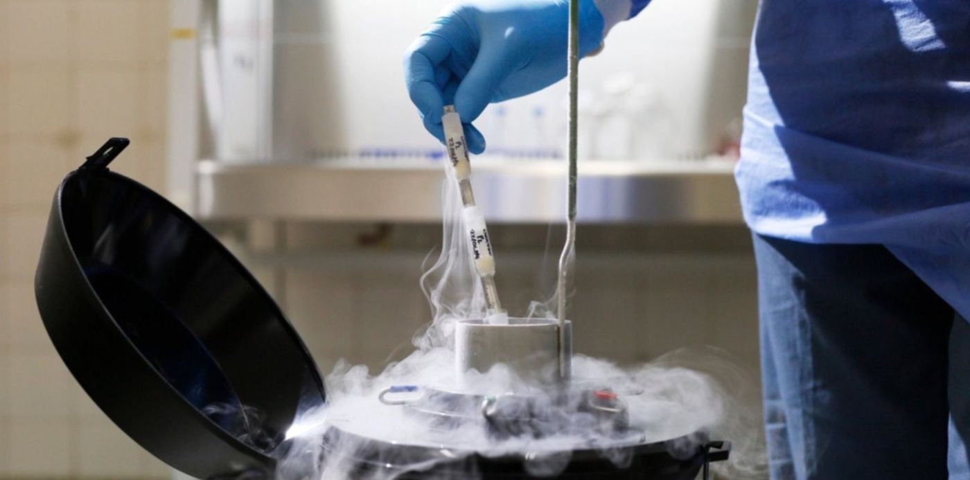 1570558928272.jpg?x=7&y=137&width=1486&height=743&rotate=0&scaleX=1&scaleY=1&ow=1500&oh=1000&&cw=1920&ch=950