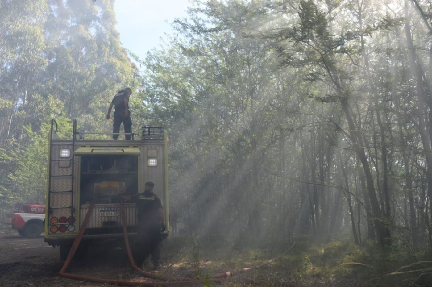 Incendio Parque Pereyra