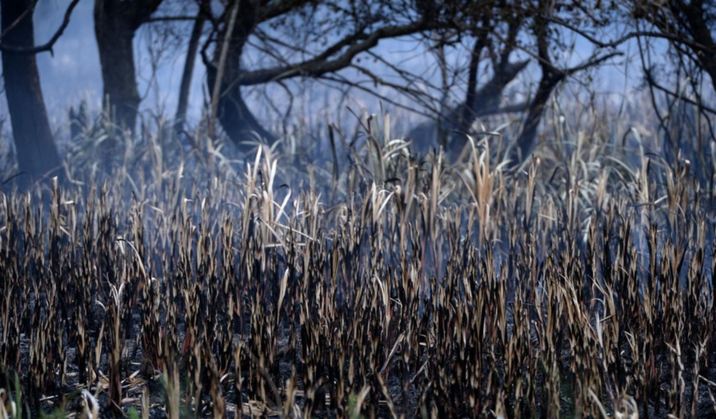 Copia de Copia de Tapa horizontal (1).png