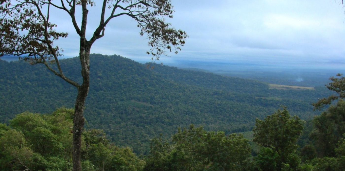 1553895602077.jpg?scaleY=1&oh=1125&x=4&y=60&scaleX=1&ow=1500&width=1493&height=746&rotate=0&&cw=1920&ch=950