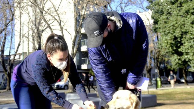 se viene una nueva jornada de desparasitacion y vacunacion gratuita en la plata