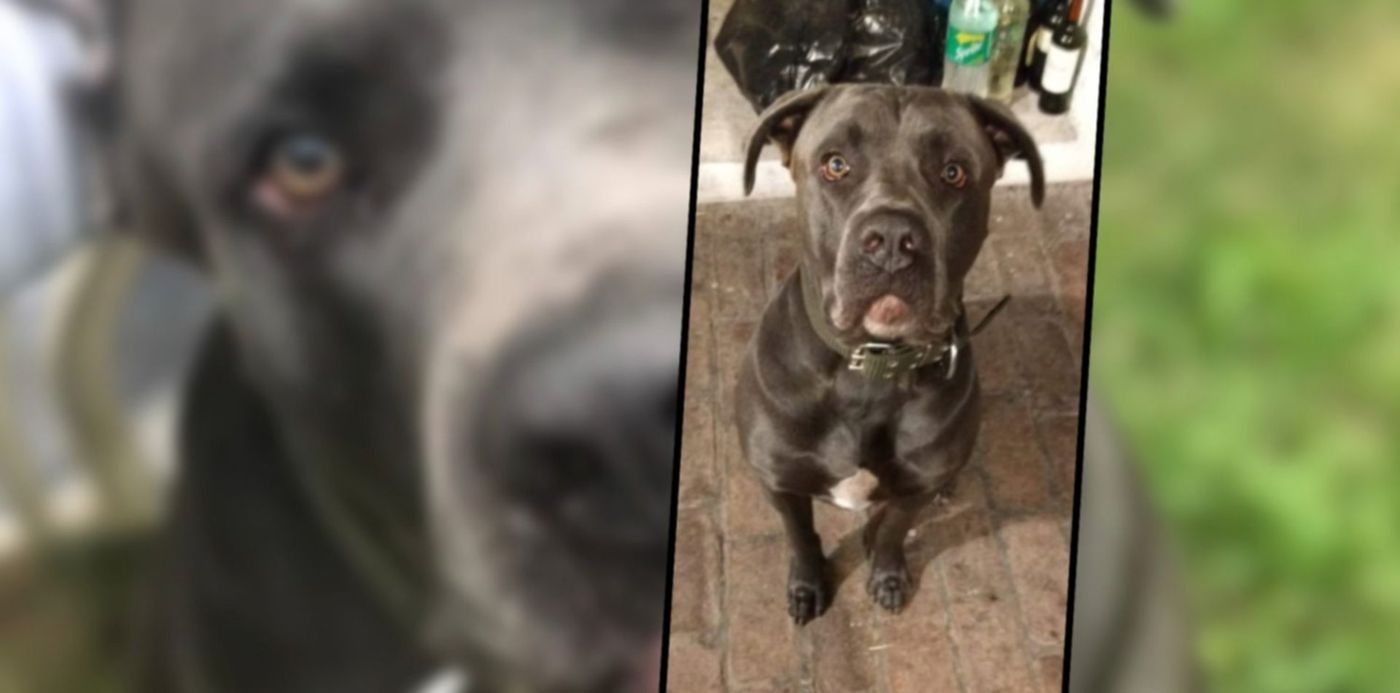 1640437932592.jpg?x=0&y= 6&width=1500&height=750&rotate=0&scaleX=1&scaleY=1&ow=1500&oh=742&&cw=1920&ch=950