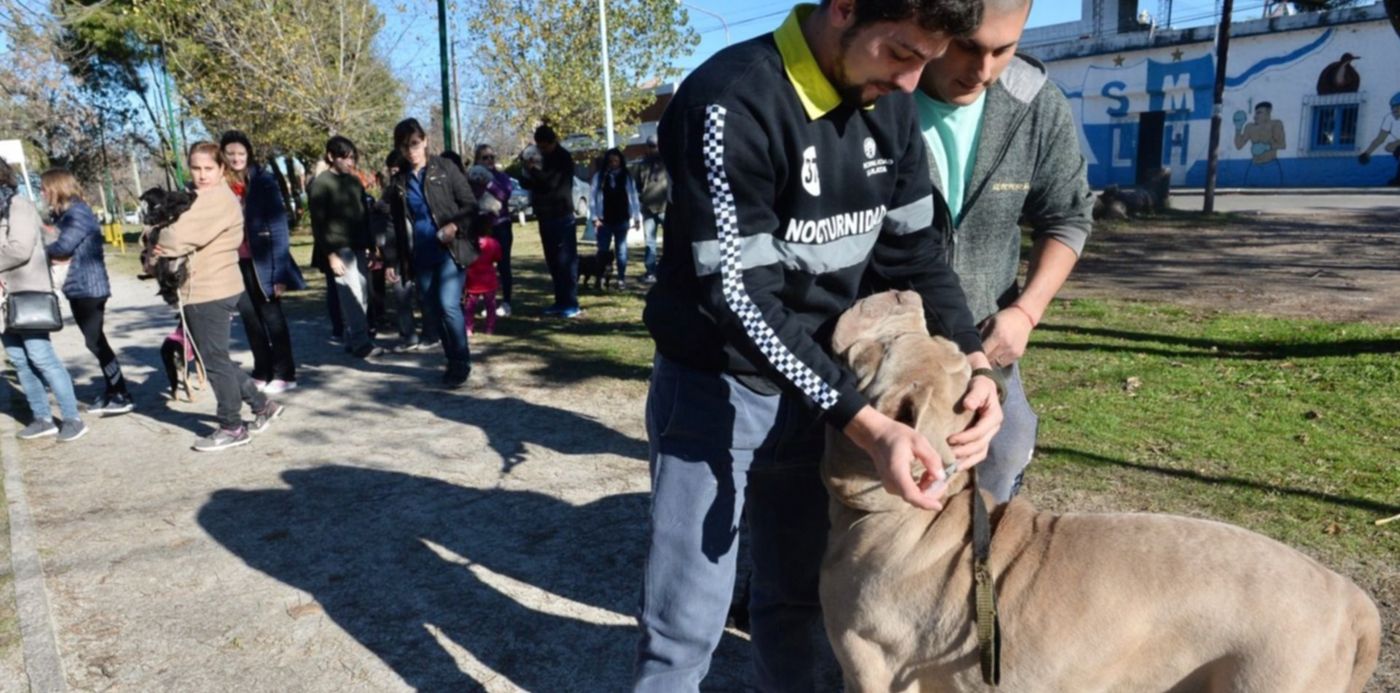 1560818200074.jpeg?x= 2&y=13&width=1495&height=748&rotate=0&scaleX=1&scaleY=1&ow=1500&oh=996&&cw=1920&ch=950