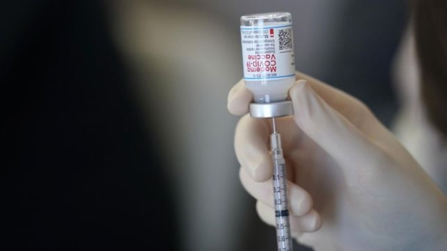 a fin de ano podrian empezar los ensayos clinicos de una vacuna argentina contra el covid