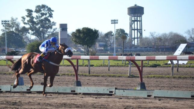suspendieron a un reconocido entrenador del hipodromo por dopar con cocaina a un caballo