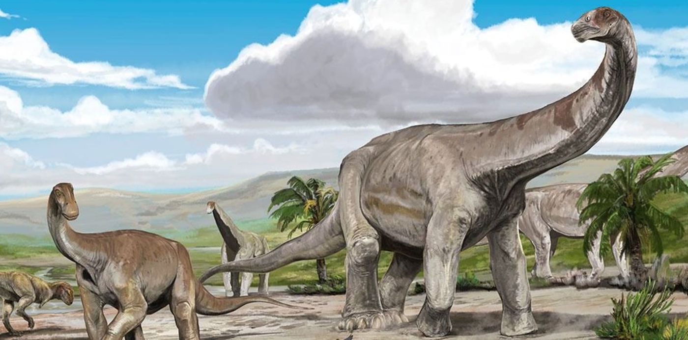 1603841927599.jpg?x=8&y=26&width=982&height=491&rotate=0&scaleX=1&scaleY=1&ow=995&oh=560&&cw=1920&ch=950