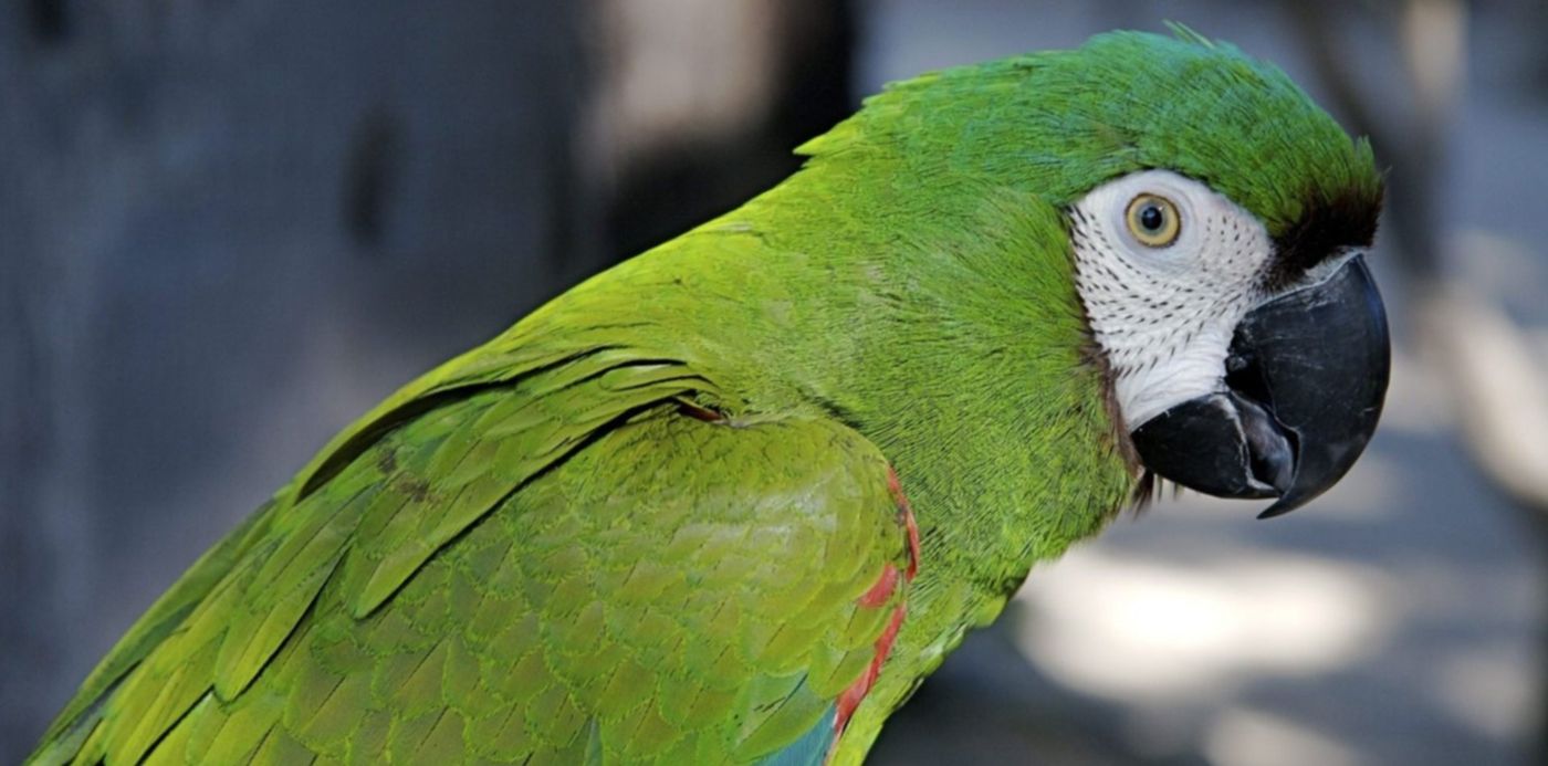 1557188120417.jpg?x=8&y=90&width=1490&oh=998&height=745&rotate=0&scaleX=1&scaleY=1&ow=1500&&cw=1920&ch=950