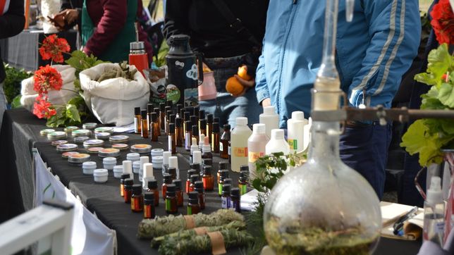 con productos de estacion y platos unicos, llega al paseo del bosque una nueva feria agroecologica