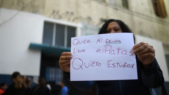 padres, madres y alumnos de dos escuelas de la plata se movilizaron por una invasion de ratas