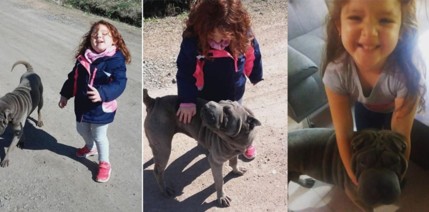 1604007035325.jpg?x=12&y=3&width=1477&height=738&rotate=0&scaleX=1&scaleY=1&ow=1500&oh=742&&cw=1920&ch=950