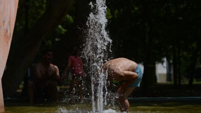 alerta amarillo en la plata por altas temperaturas: ¿como prevenir un golpe de calor?