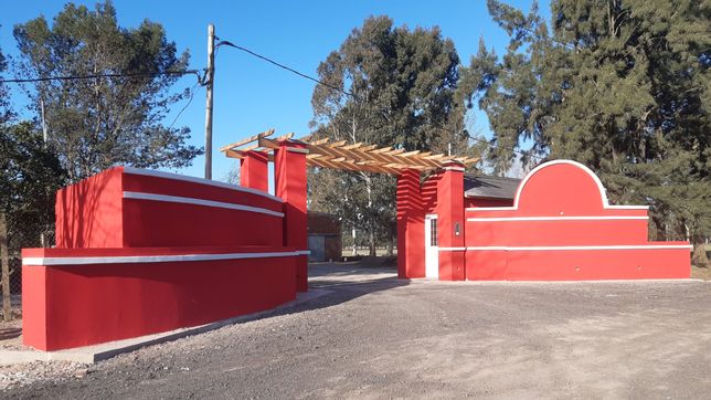 un ladron intento robar un auto pero no lo pudo sacar del garaje