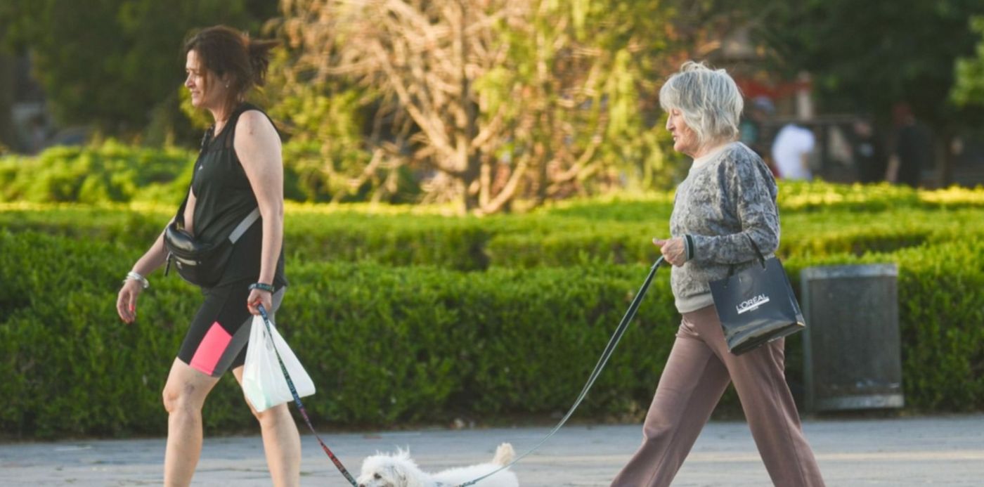 1668511469145.jpg?x=8&y=41&width=1478&height=739&rotate=0&scaleX=1&scaleY=1&ow=1500&oh=993&&cw=1920&ch=950