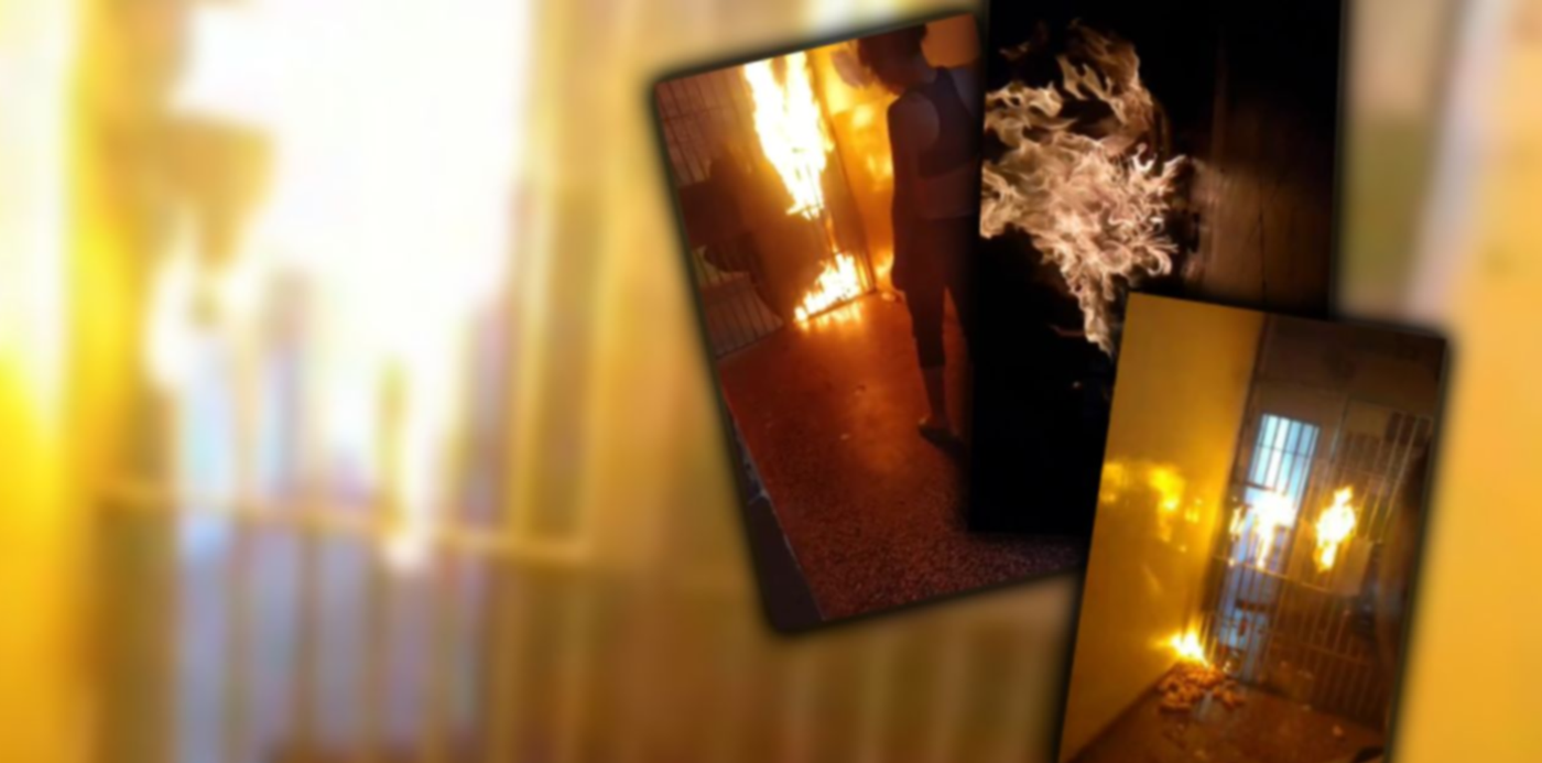 1674482521592.jpg?x=7&y=0&width=1266&height=633&rotate=0&scaleX=1&scaleY=1&ow=1280&oh=633&&cw=1920&ch=950