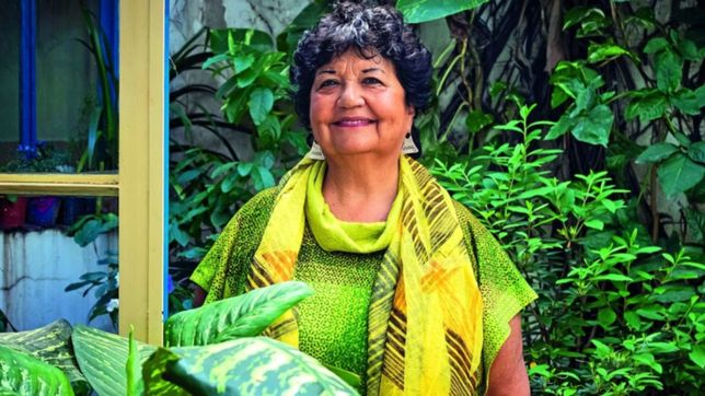 la unlp distinguira a dora barrancos por su lucha para impulsar los derechos de la mujer