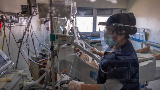 la curva del coronavirus en la plata: 5 muertos y 172 casos nuevos