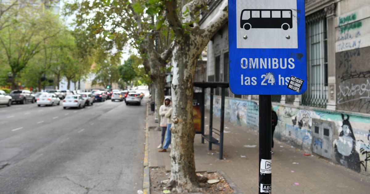 Paro de micros: la UTA confirmó que levanta la medida a partir de la ...