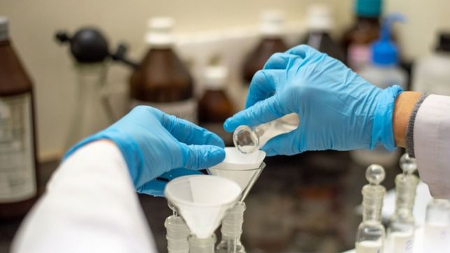 investigadores de la unlp trabajan en nuevos avances en la lucha contra la toxoplasmosis