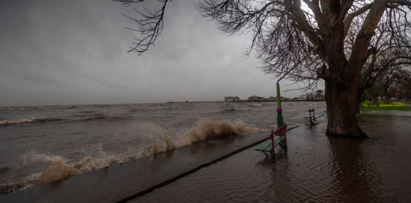 1549930470762.jpg?height=736&rotate=0&oh=994&x=14&y=237&scaleY=1&ow=1500&width=1472&scaleX=1&&cw=1920&ch=950