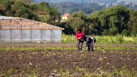 cinco ladrones atacaron a una familia de productores y se llevaron $10 millones y una camioneta cinco ladrones atacaron a una familia de productores y se llevaron $10 millones y una camioneta