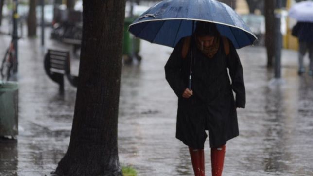 clima en la plata: pasados por agua: ¿hasta cuando van a seguir las lluvias en la plata?
