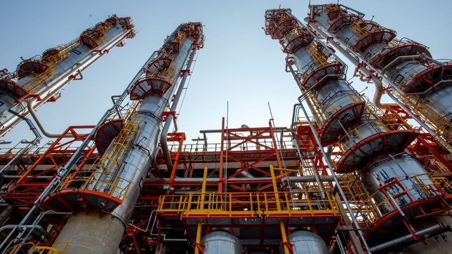 el gobierno creo un comite para evaluar los proyectos que quieran adherirse al rigi