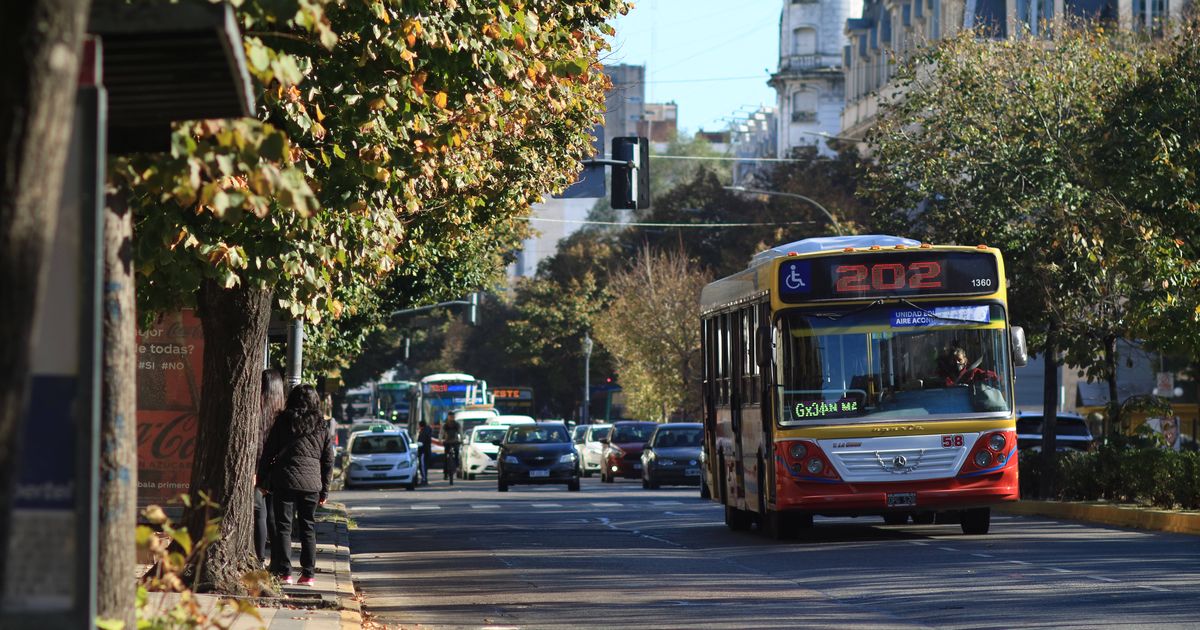 Los choferes de La Plata se sumarán al paro de micros convocado por la ...
