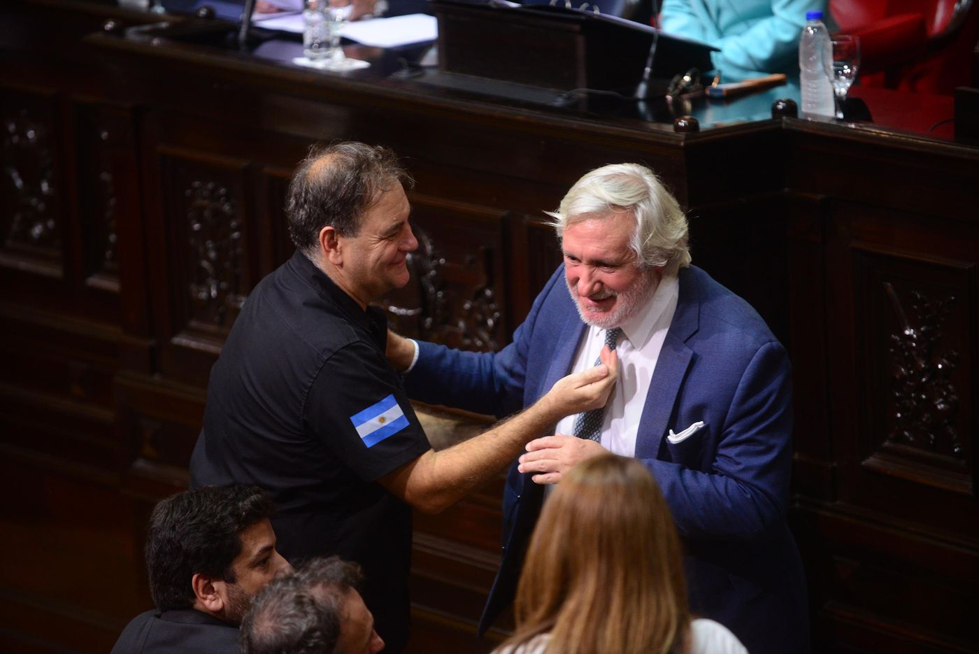 Apertura de sesiones en la Legislatura 2025 Julio Conte-Grand Javier Alonso (40).JPG