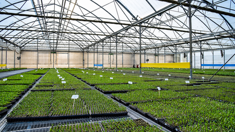 Proyectan una planta de frío en La Plata para reducir pérdidas de miles de toneladas del cordón frutihortícola