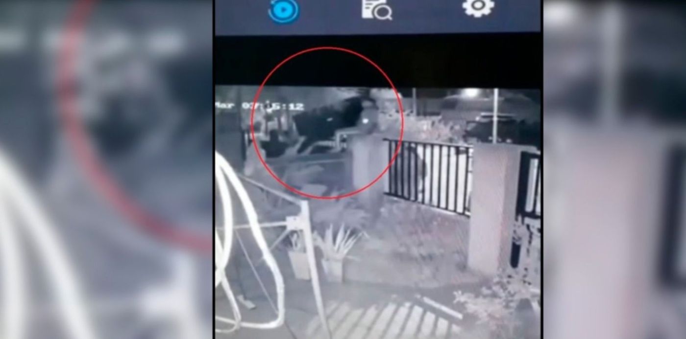 1613592625954.jpg?x=21&y=3&width=1458&height=729&rotate=0&scaleX=1&scaleY=1&ow=1500&oh=742&&cw=1920&ch=950