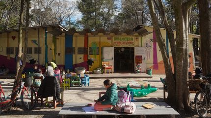 Tensión en el Parque Saavedra por una orden de desalojo de la Biblioteca del otro lado del árbol