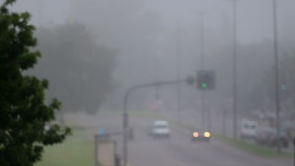 La Plata otra vez en advertencia violeta por la niebla y la baja visibilidad para conducir
