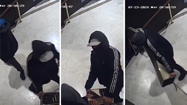 a los tirones, robaron otro portero electrico de un edificio de la plata