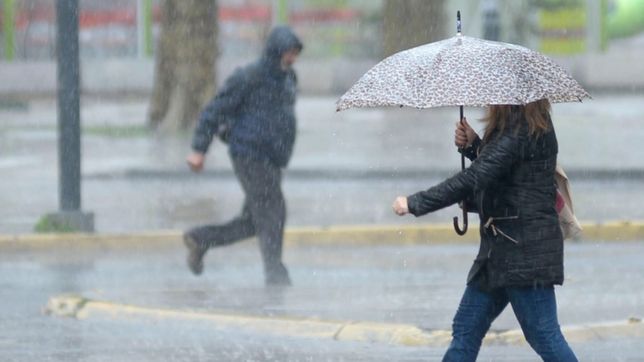 niebla, viento y ¿lluvias? asi estara el clima en la plata durante toda la semana