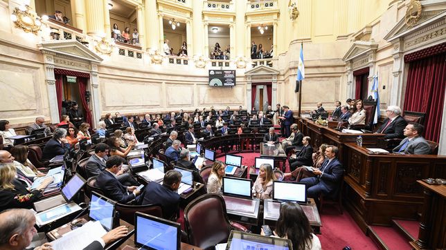 la camara de senadores aprobo la baja de la edad de imputabilidad y pasara de 16 a 14 anos