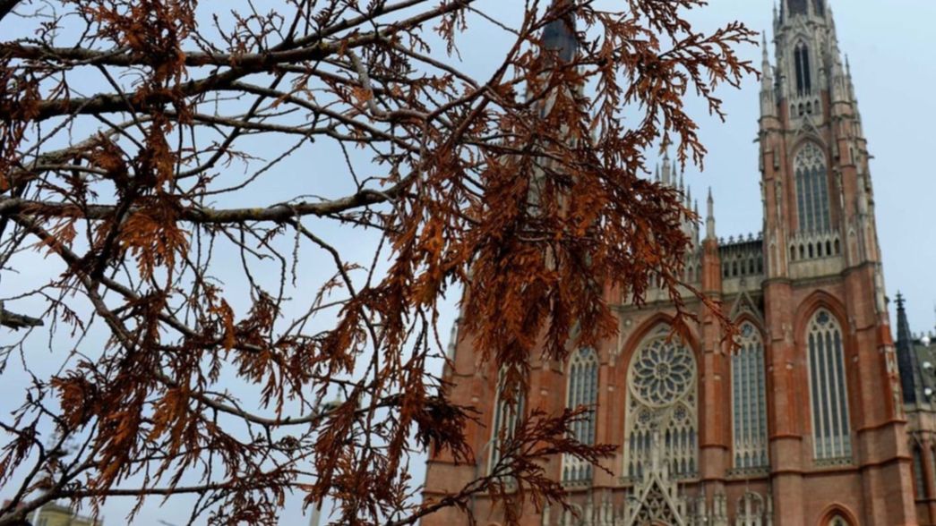 El frío se acerca una vez más a La Plata: así va a estar el clima esta semana