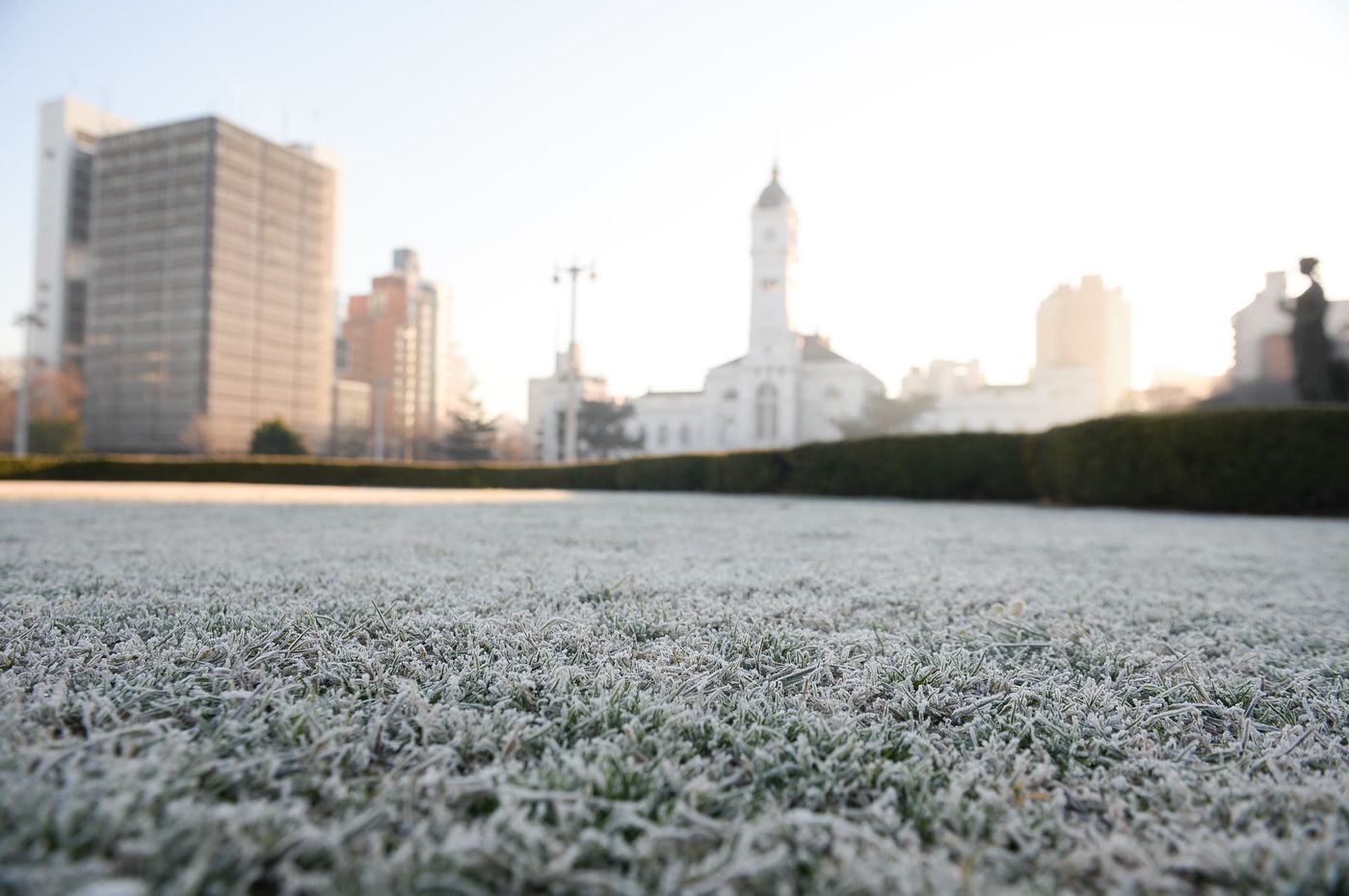 Invierno Frío Ola polar Escarcha (5).jpeg