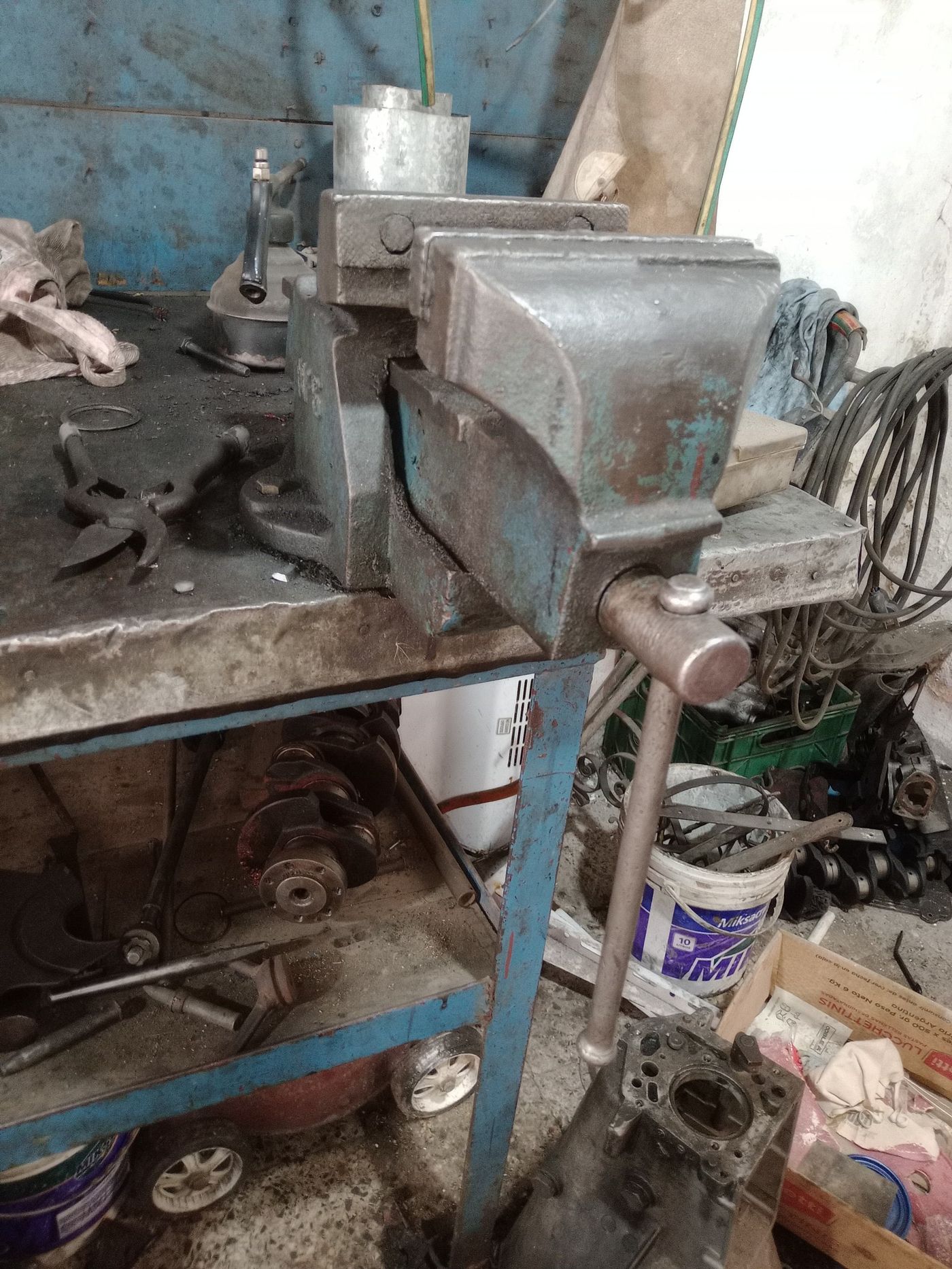 La morsa que será subastada este sábado en Los Hornos