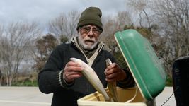 la sorprendente historia del pescador platense que hallo un pez que amenaza con cambiar al rio de la plata para siempre la sorprendente historia del pescador platense que hallo un pez que amenaza con cambiar al rio de la plata para siempre
