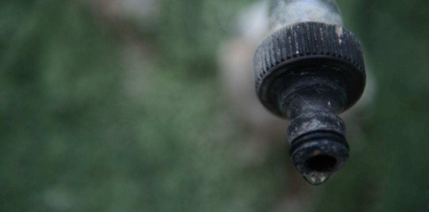 1580776083484.jpg?x=24&y=252&width=1449&height=724&rotate=0&scaleX=1&scaleY=1&ow=1500&oh=996&&cw=1920&ch=950