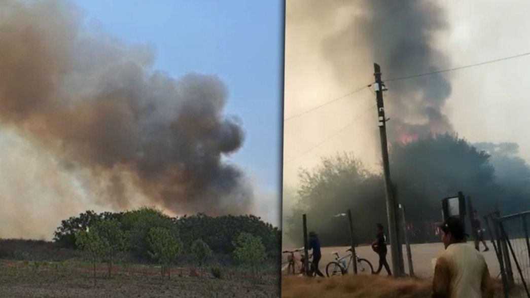 VIDEO: Alarma por un gran incendio forestal en una zona de La Plata
