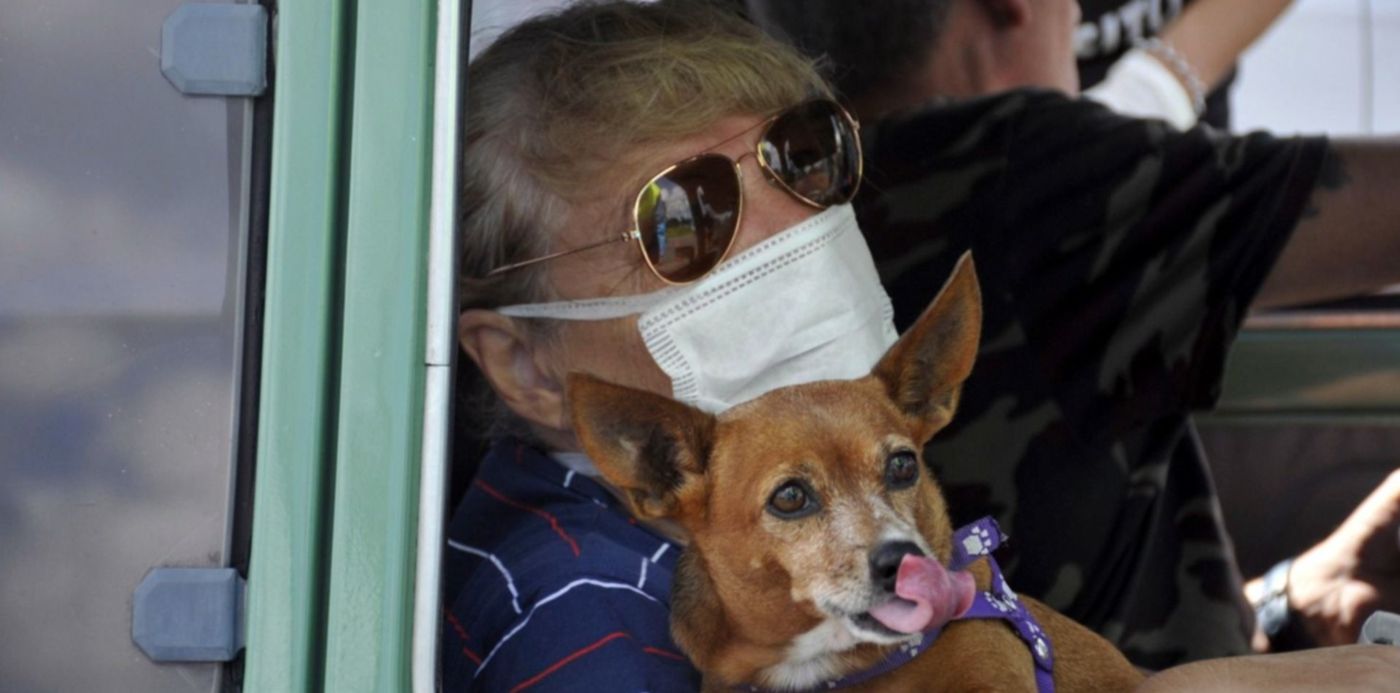 1586614628024.jpg?width=1486&scaleX=1&ow=1500&oh=996&x=7&y=135&scaleY=1&height=743&rotate=0&&cw=1920&ch=950